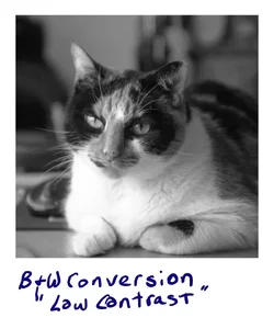 low.webp low.webp