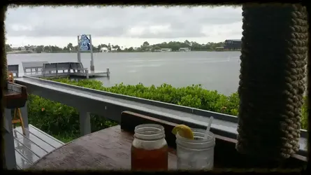 pecks view.webp