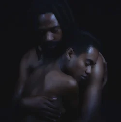 CAT 10289 CD349 THE LOVERS.webp