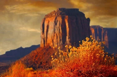 CAT 7052 CD251 MONUMENT VALLEY.webp