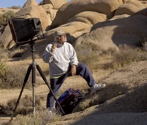 CAT 2539 D CD94  THE BIG CAMERA  0008.webp