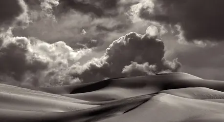 CAT 10260 CD349 IMPERIAL SAND DUNES.webp