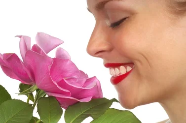 CAT 3399 CD135 LADY WITH PINK ROSE 2.webp