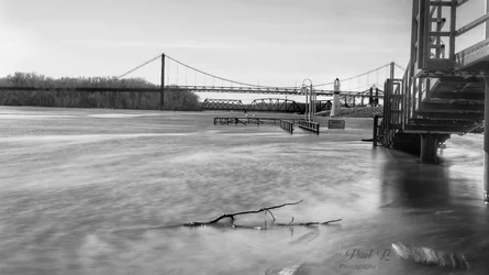 _AAA2107B&W.webp