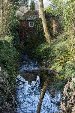 water house web.webp