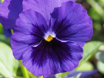 P5070056b-Crop01-C1.webp