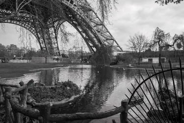 L monochrome d resize.webp