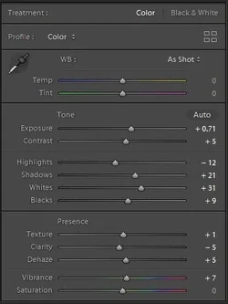 1.webp 1.webp