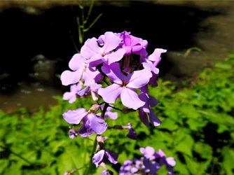 Blur Example 1.webp Blur Example 1.webp
