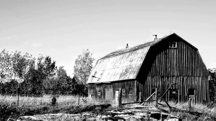 old barn.webp