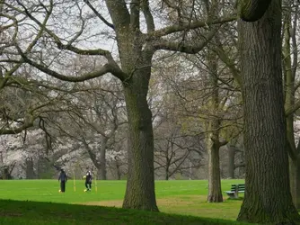 Part01-2019-05-26-09h34m04s508c-Crop01-C1.webp