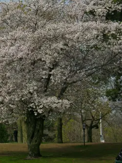 Part02-2019-05-26-10h24m45s856cCrop01-C1.webp