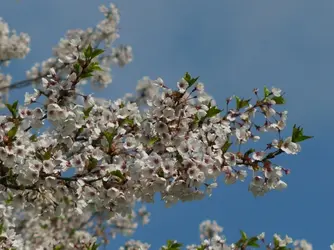 Part03-2019-05-30-10h11m52s075c1-Crop01-C1.webp
