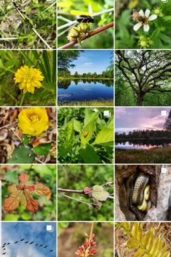 Screenshot_20190614-161519_Instagram.webp Screenshot_20190614-161519_Instagram.webp