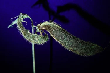 m6.webp