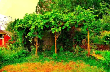 $_DSC0278_79_80_tonemapped_06.webp