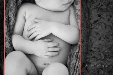 $image-3040103656lll.webp