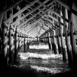 $Folly Pier.webp