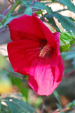 $image-262015112.webp