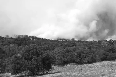 $Wildfire 2.webp
