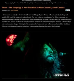 $sheepdogs blog.webp