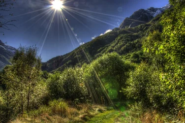 $DSC_0158_59_60_tonemapped.webp