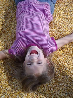 $Corn2.webp