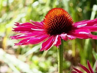 P6300039c-Crop01-C1.webp