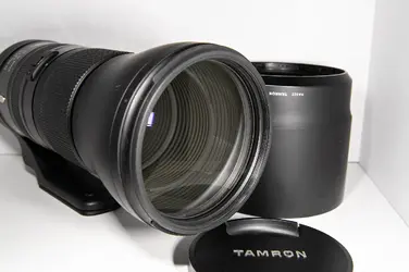 Tamron 150-600 2.webp