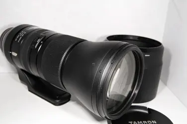 Tamron 150-600 3.webp