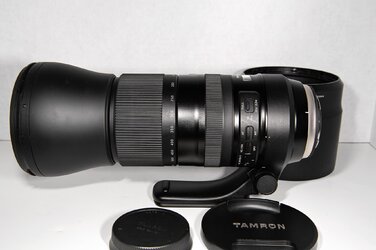 Tamron 150-600 6.jpg