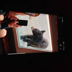 image.webp image.webp