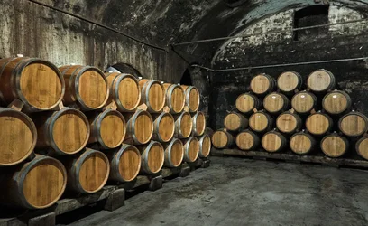 wine_barrels.webp