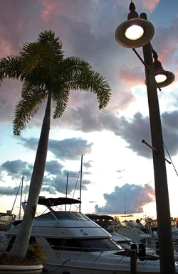 IMG_3692 (3)ps2.webp