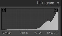 revised histogram.jpg