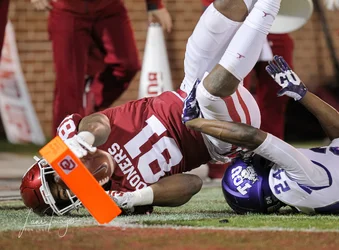 TCU 0360.webp