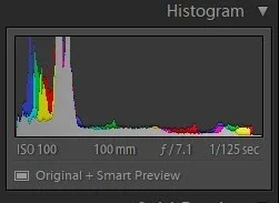 f7.1.webp
