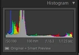 f6.3.webp
