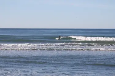 100mm surf.webp
