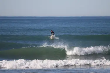 600mm surf.webp