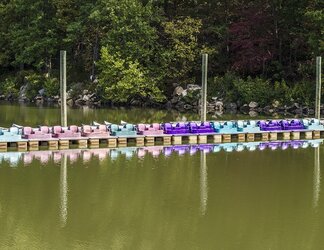 $paddle boats2 50mm.jpg