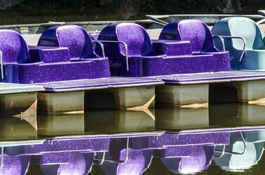 $paddle boats 200mm with 2x TC.jpg