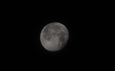 $_DSC0488.webp