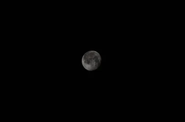 $_DSC0363.webp
