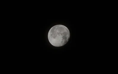 $_DSC0474 lower iso_.webp