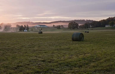 $Country Morning.webp