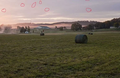 $Country-Morning.webp