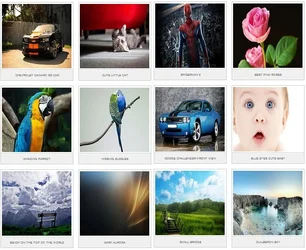 $wallpapers242.blogspot.com-.webp