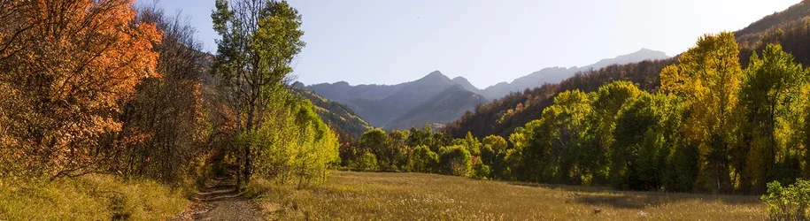 $Untitled_Panorama1.webp