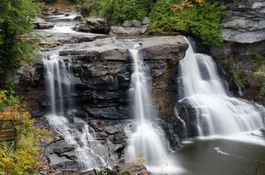 $Blackwater Falls 21.webp